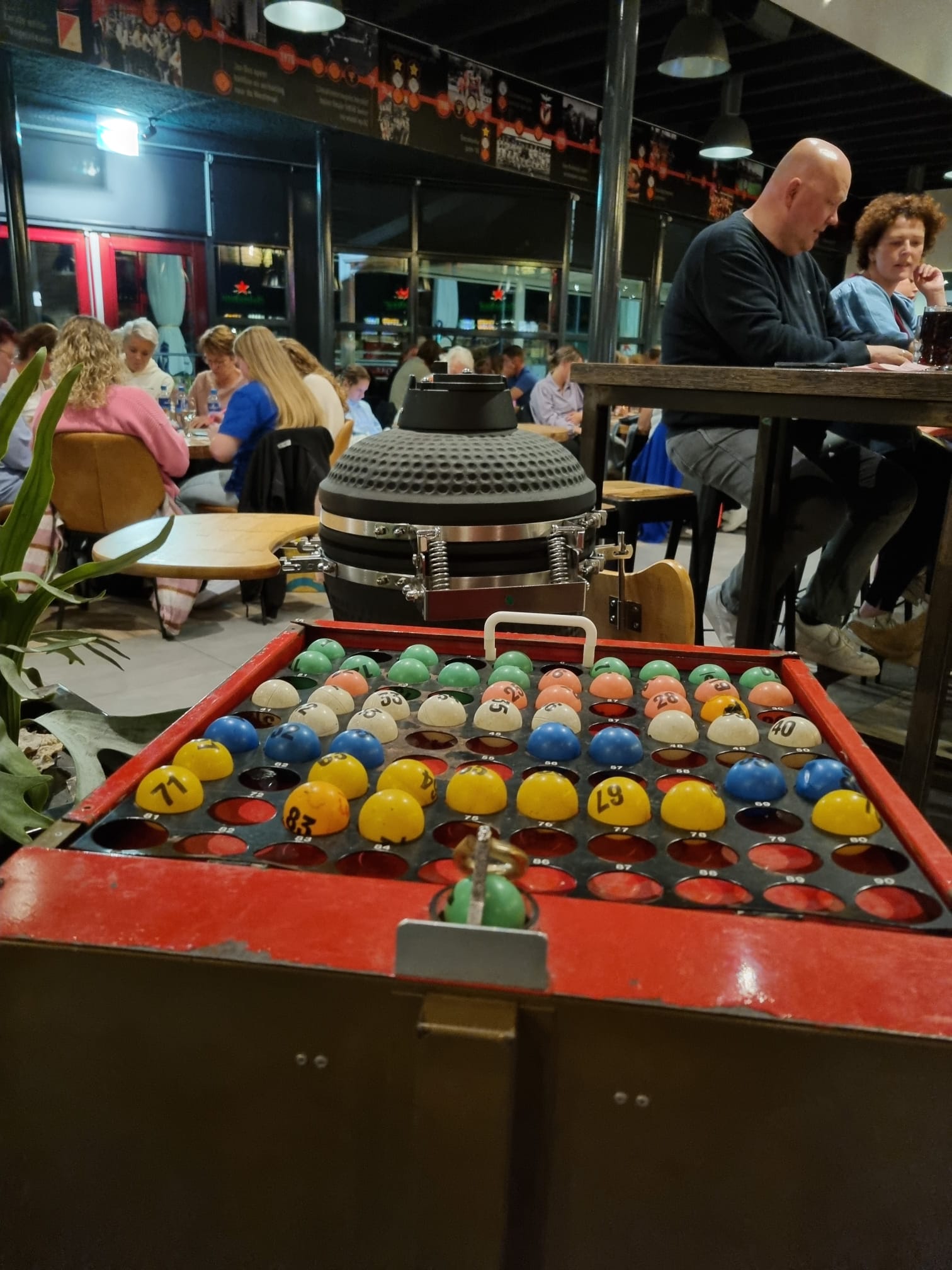 Bingo overzicht