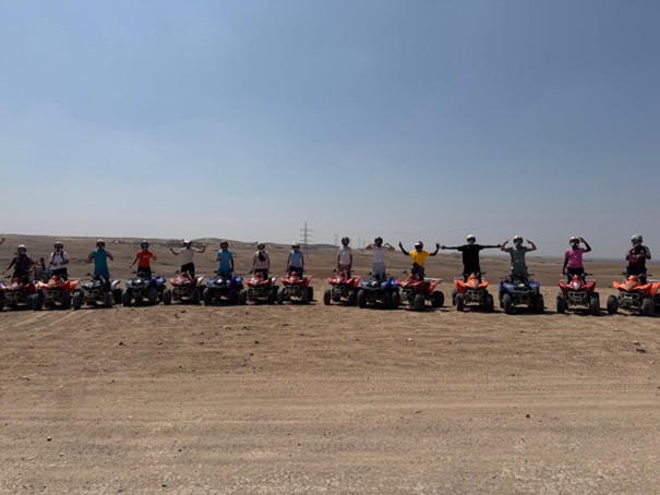 O19 quads