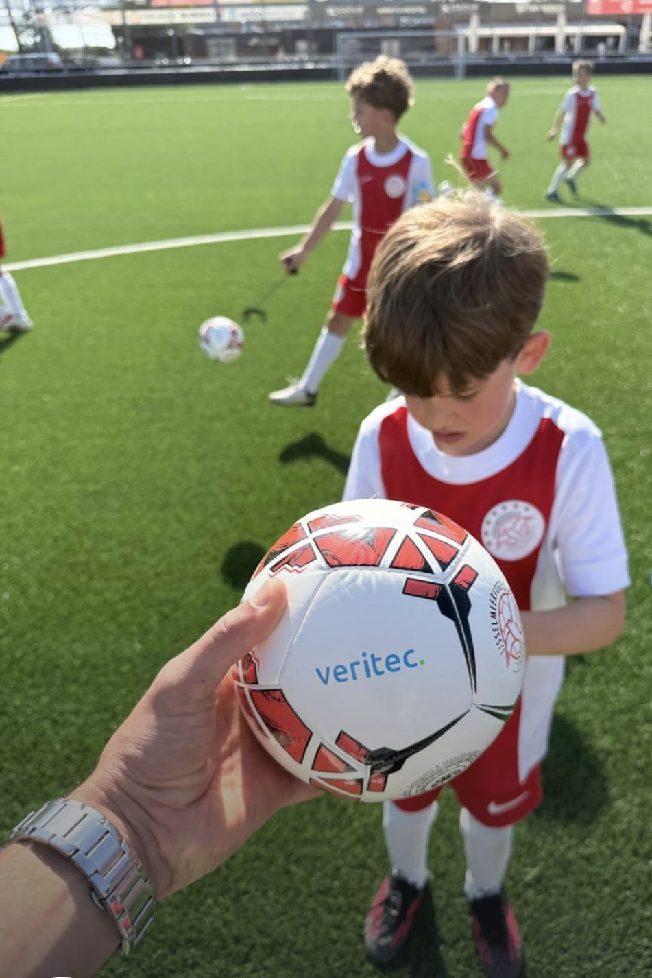 Skill ball Veritec