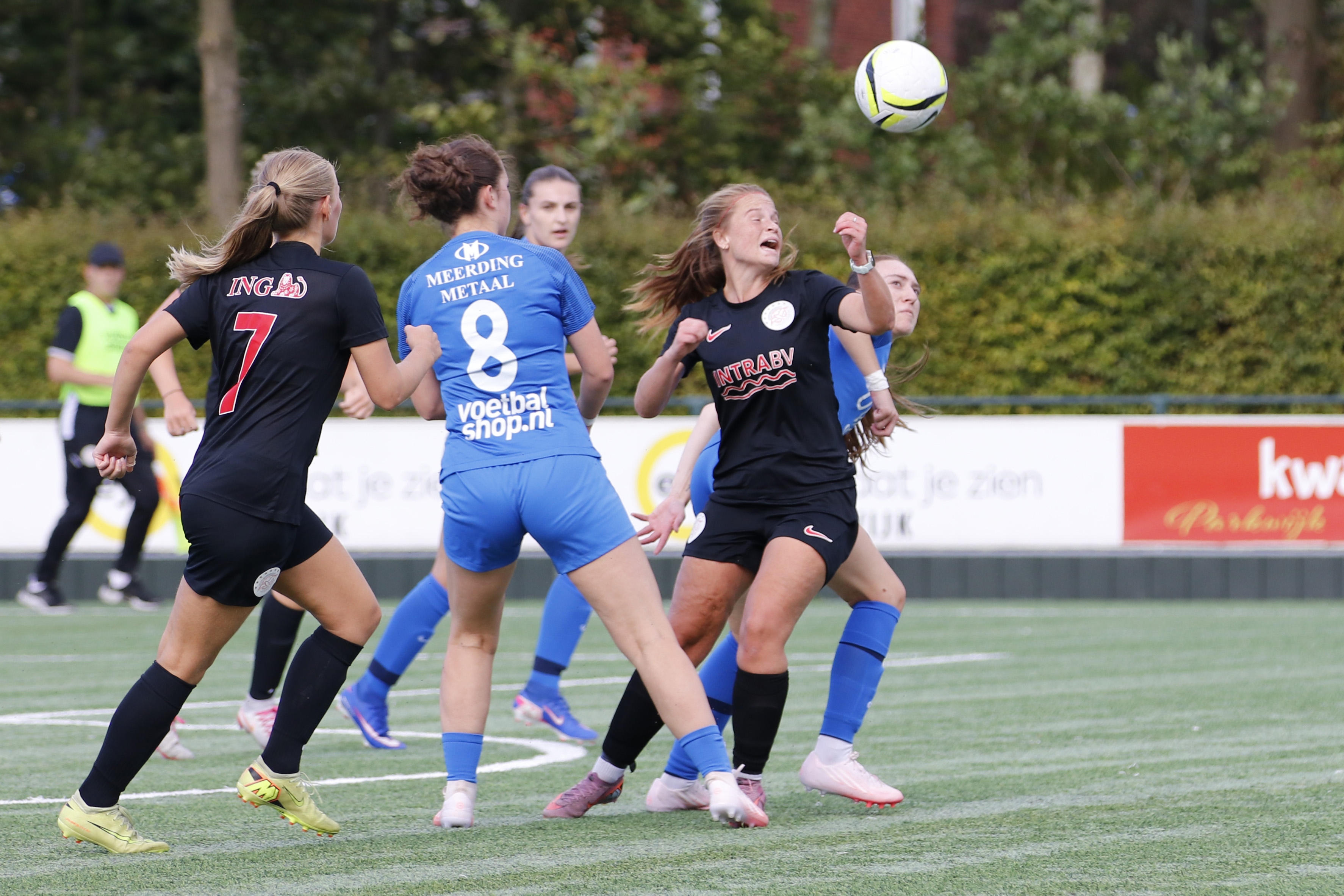 UVV IJsselmeervogels2