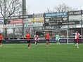 Missen van kansen nekt IJsselmeervogels O21