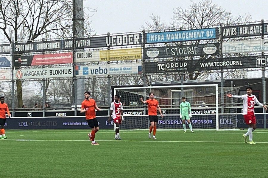 Missen van kansen nekt IJsselmeervogels O21