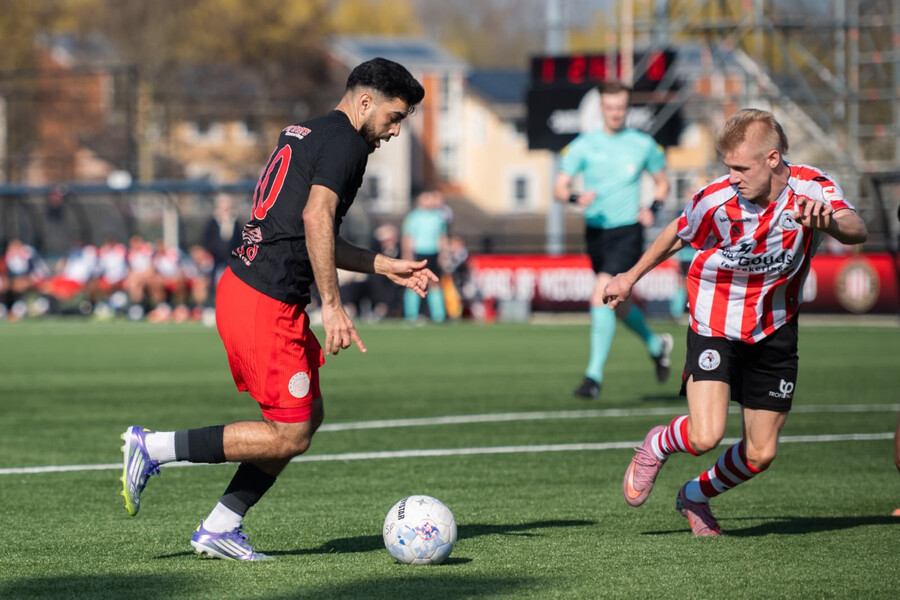 IJsselmeervogels hard onderuit in Rotterdam