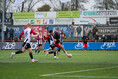 IJsselmeervogels één horde verwijderd van lijfsbehoud