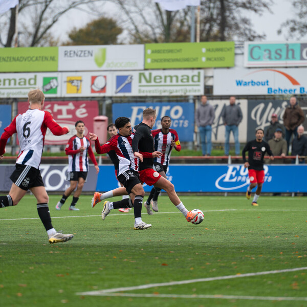 IJsselmeervogels één horde verwijderd van lijfsbehoud