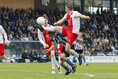 Voorbeschouwing: IJsselmeervogels tegen ACV in het nauw