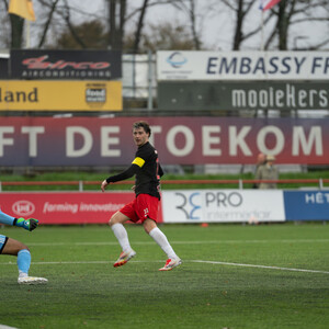 Voorbeschouwing: Werkt IJsselmeervogels aan De Grote Ommekeer?