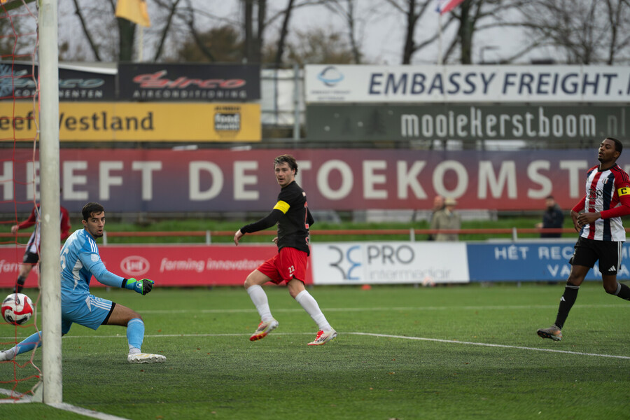 Voorbeschouwing: Werkt IJsselmeervogels aan De Grote Ommekeer?