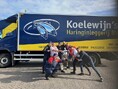 Koelewijn’s Haringinleggerij daagt G-team uit voor prestigieuze “Haring Cup”